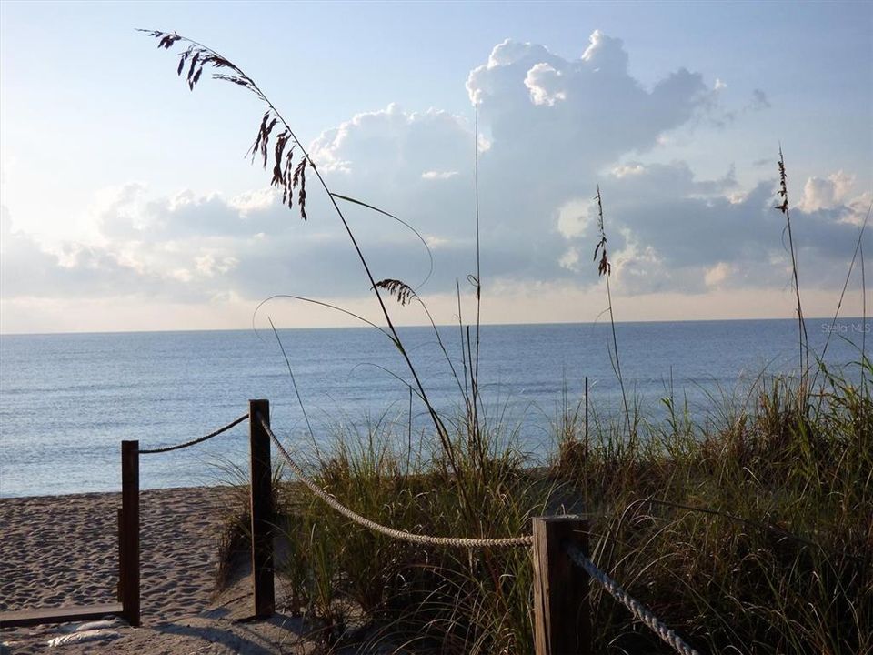 Explore Florida sites.  Take a walk on the beach.