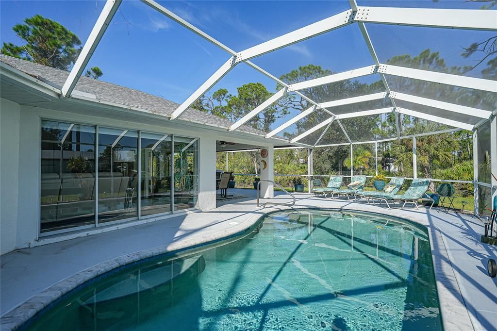 pool view showing off the decking area and height of pool screen