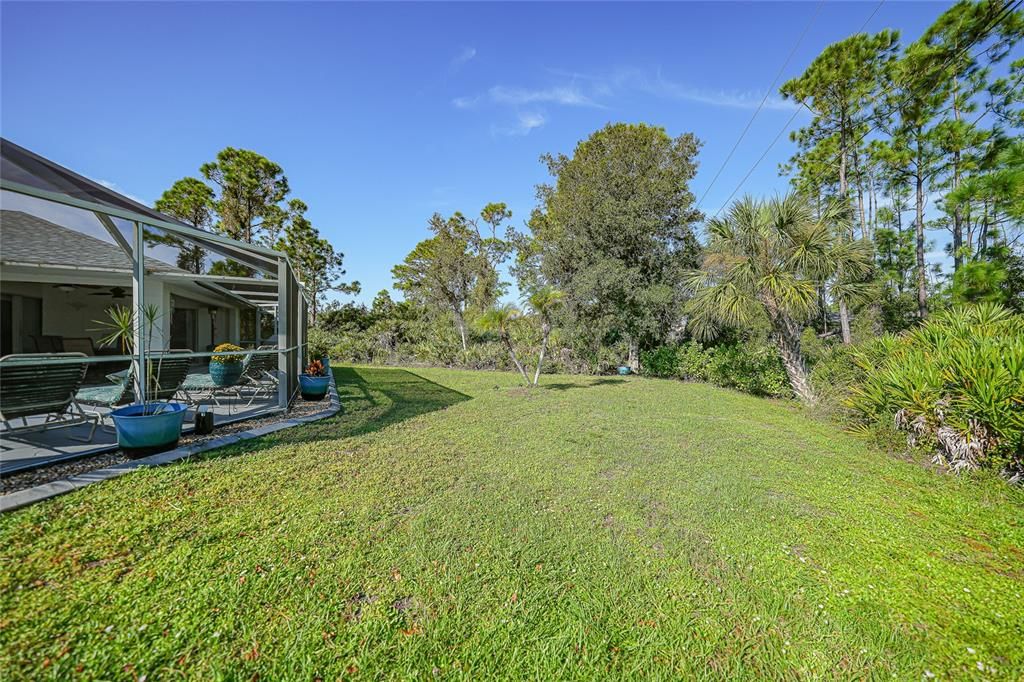 looking over the park like yard from pool and living room