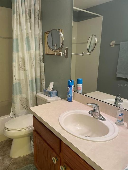 Hall Bath Sink