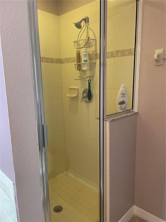 Master Bath Shower