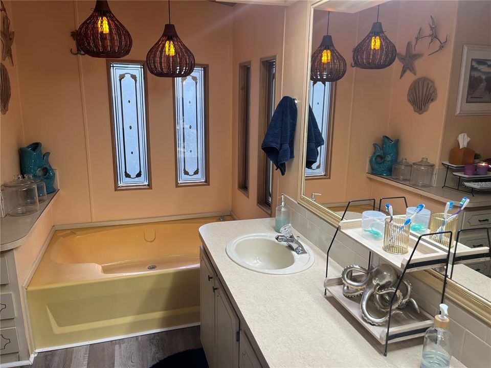 Large Primary Bathroom with tub