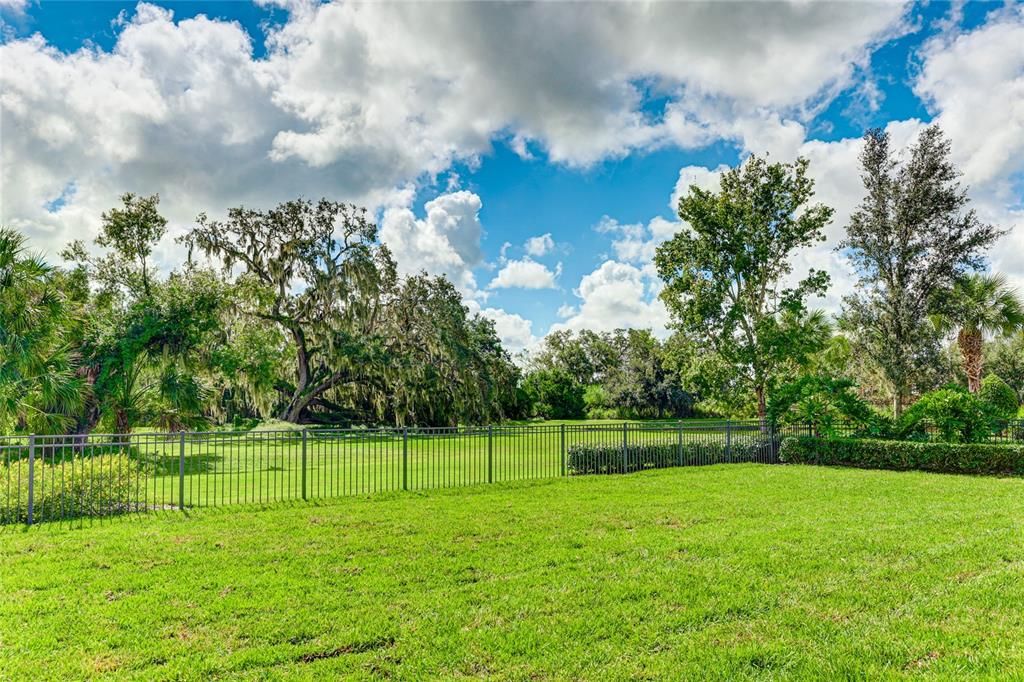 Fenced in backyard