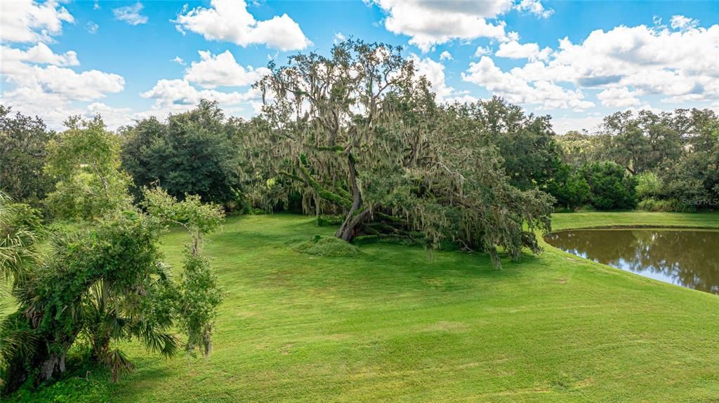 Beautiful green space behind the home