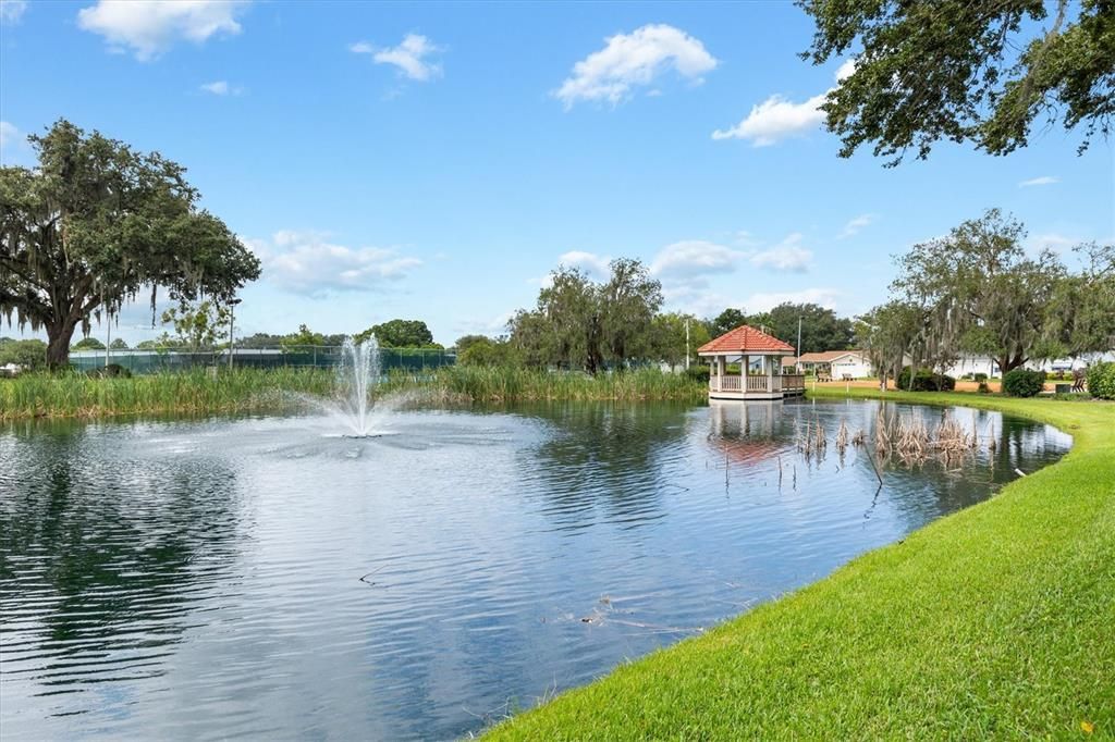 small pond by community center