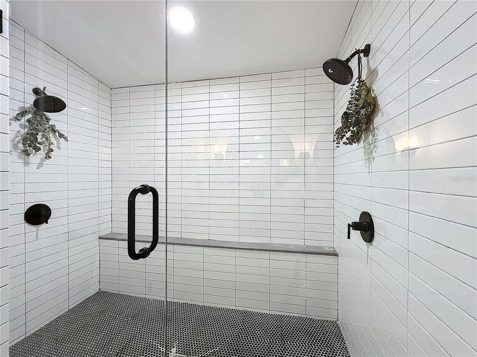 Dual shower