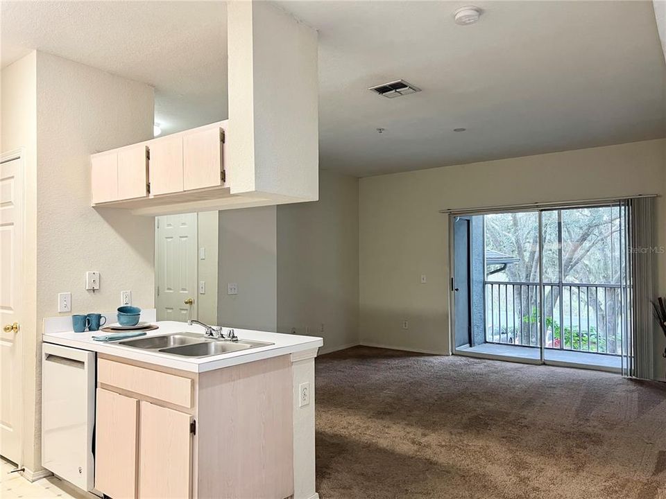 Kitchen and Living Areas