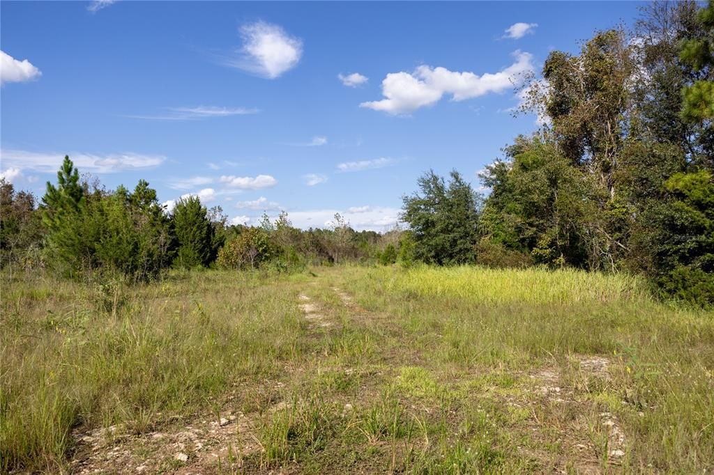 For Sale: $399,000 (40.40 acres)