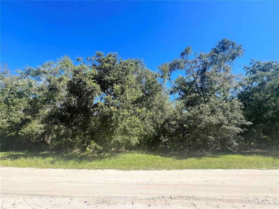 For Sale: $40,000 (2.19 acres)