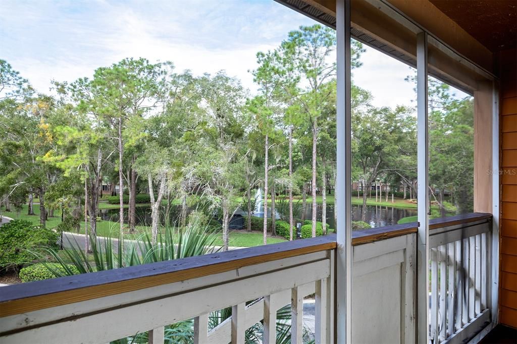 View from screened porch