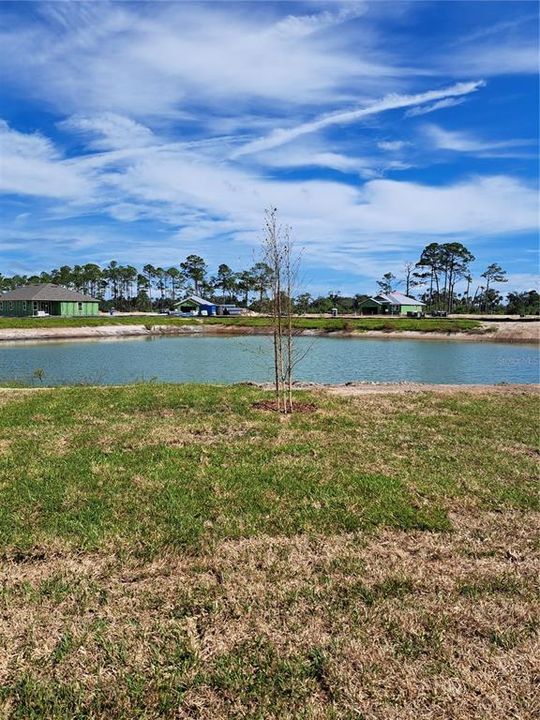 View of pond