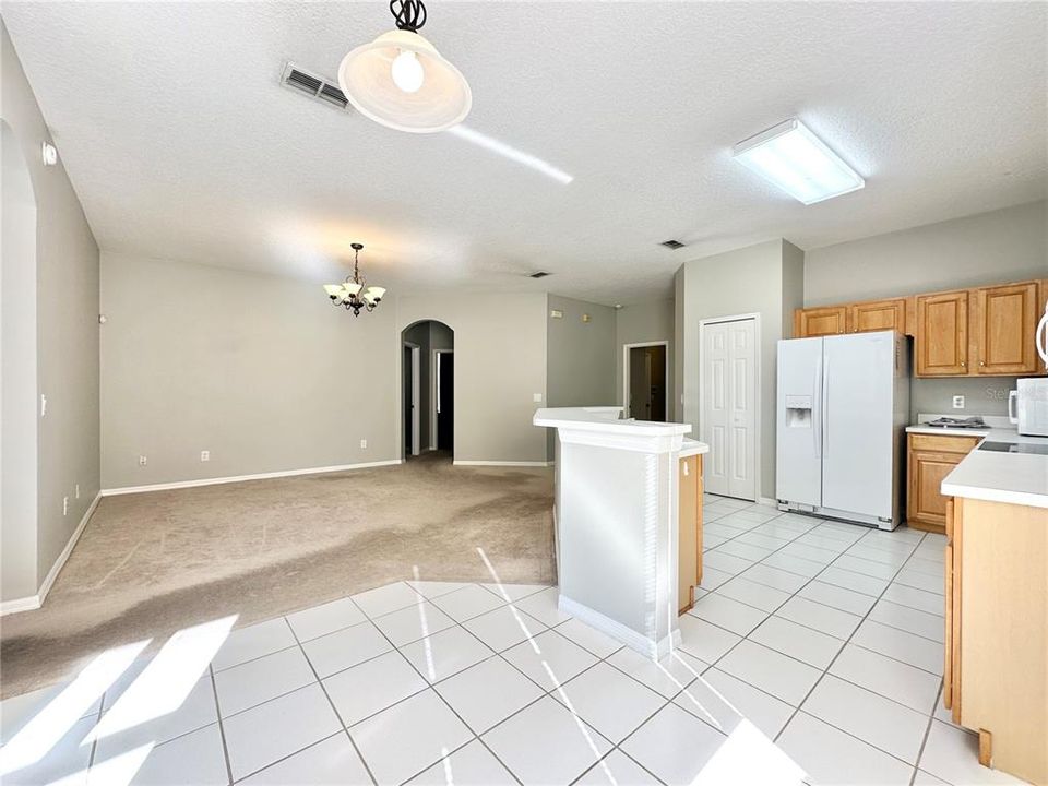 Kitchen and family room