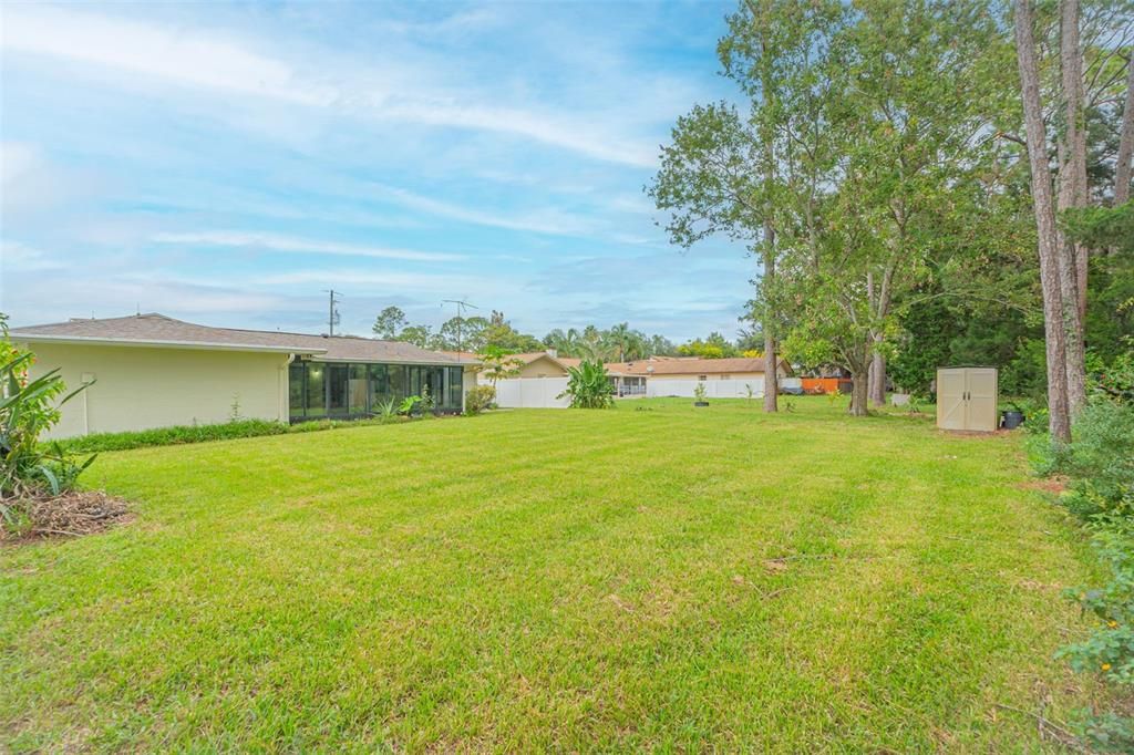 Spacious Back Yard