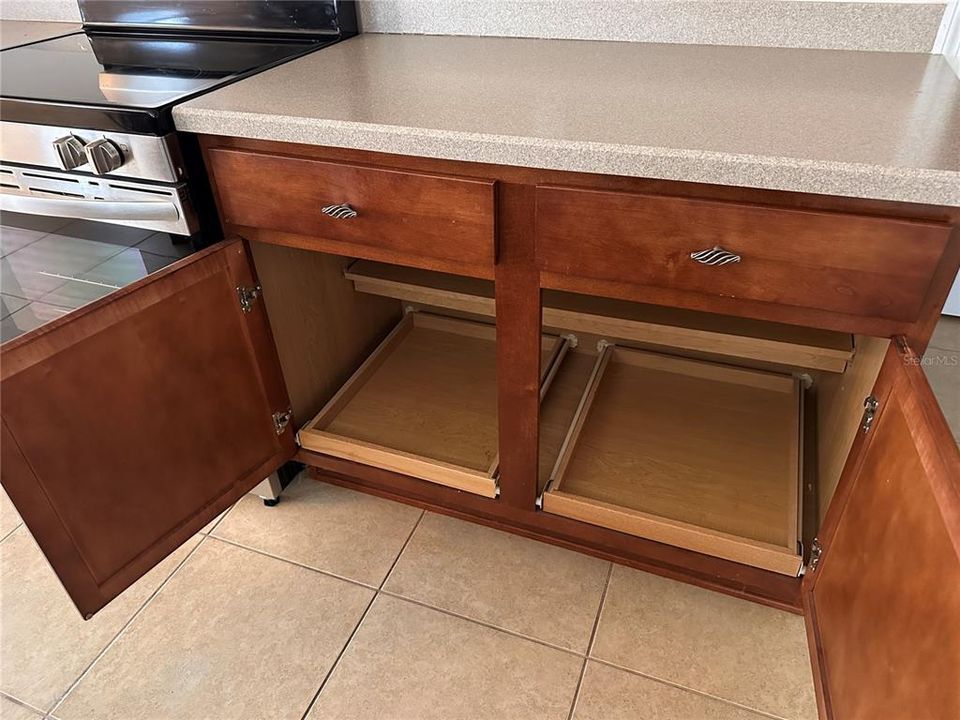 Lower Cabinets have pull-outs