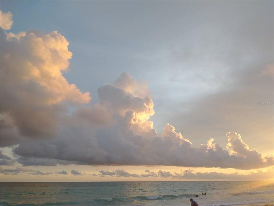 Beaches Siesta Key