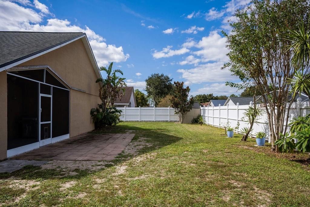 Expansive backyard