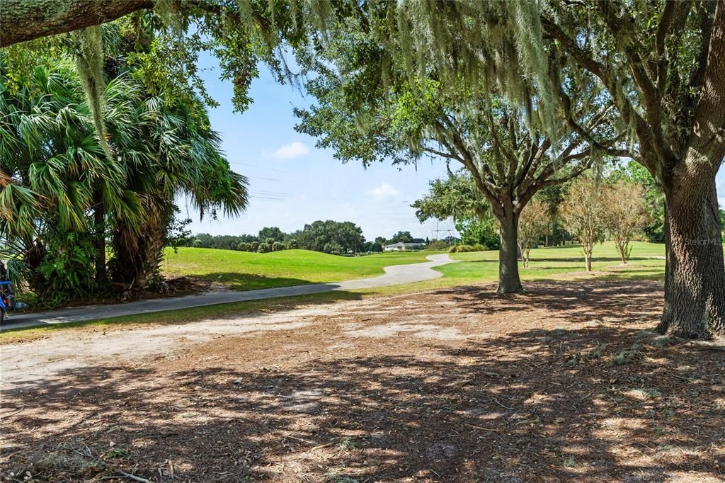 Backyard Golf View Right