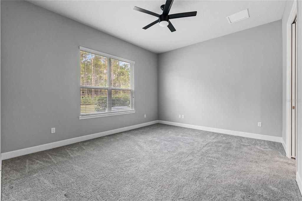 Master Bedroom Downstairs