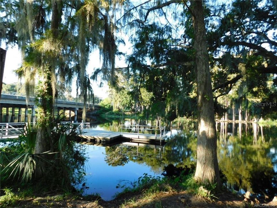 Close to the Withlacoochee River