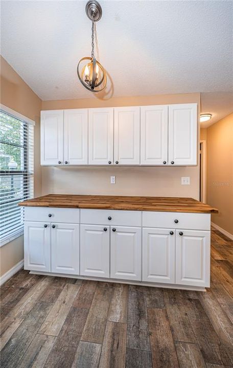 Bonus countertop and cabinet area