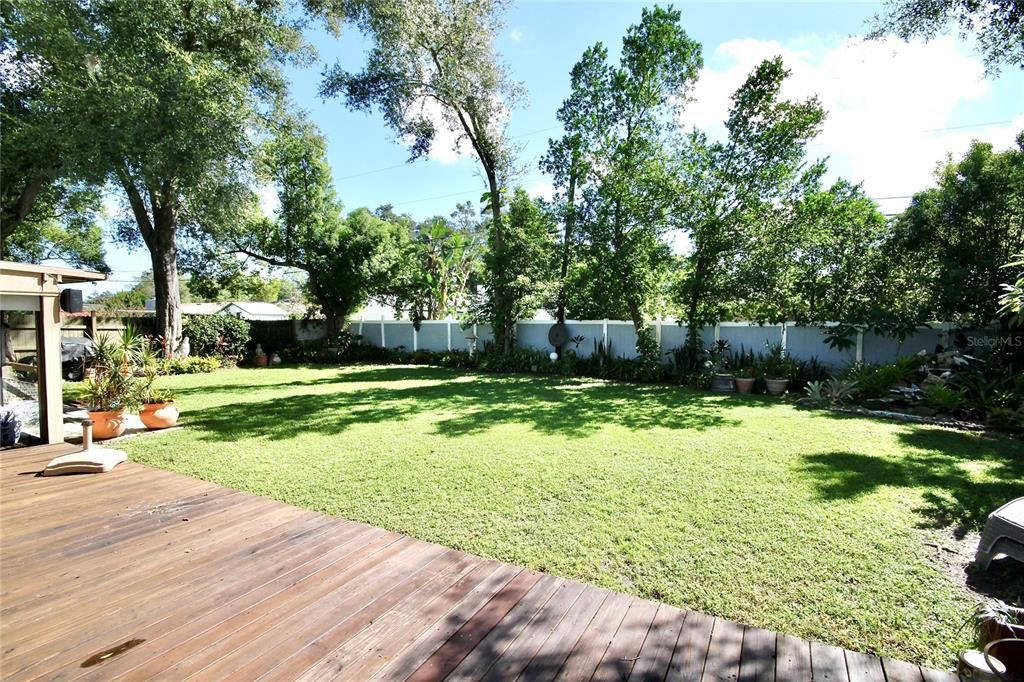 Backyard Patio