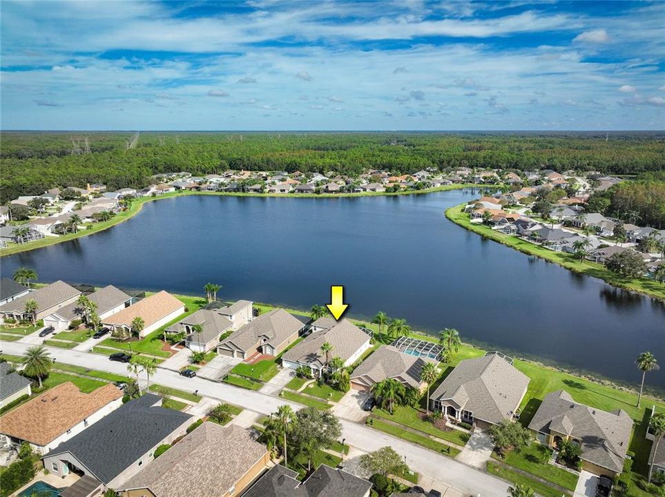 Ariel view of pond