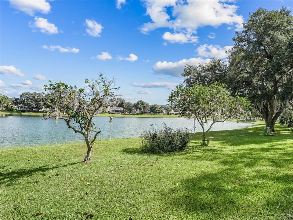 Additional View of the lake with Fruit Trees