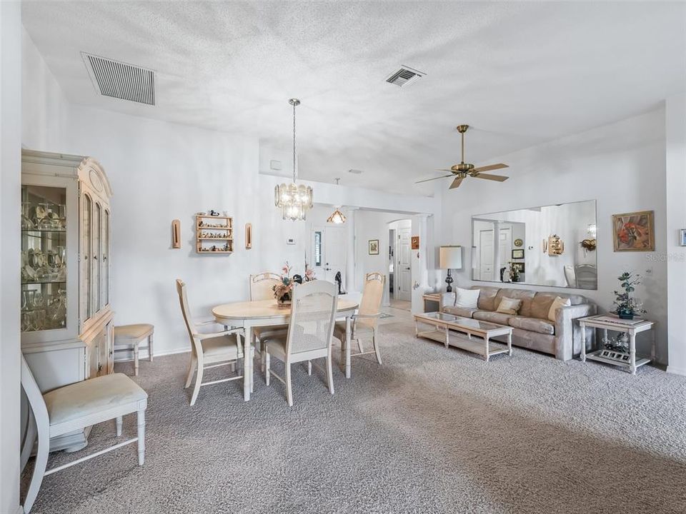 Expansive Ceiling in the Main Living Area