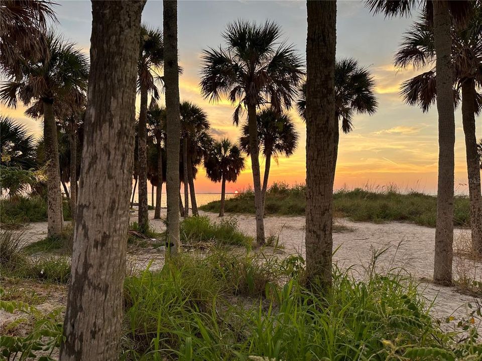 Fred Howard Park/Beach