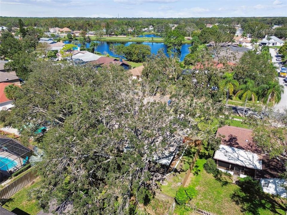 For Sale: $479,000 (3 beds, 2 baths, 1965 Square Feet)