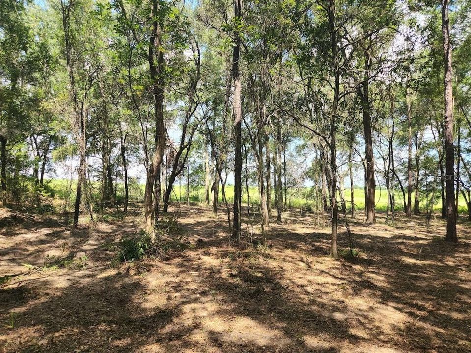 En Venta: $37,900 (1.05 acres)