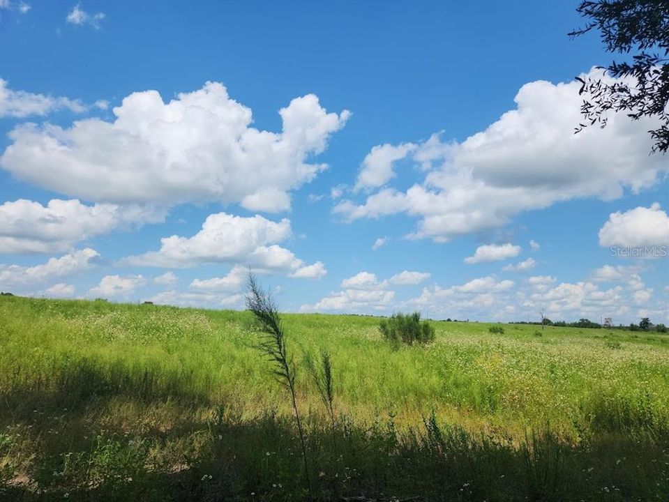 view from the back of the lot 22 on Pine Bluffs