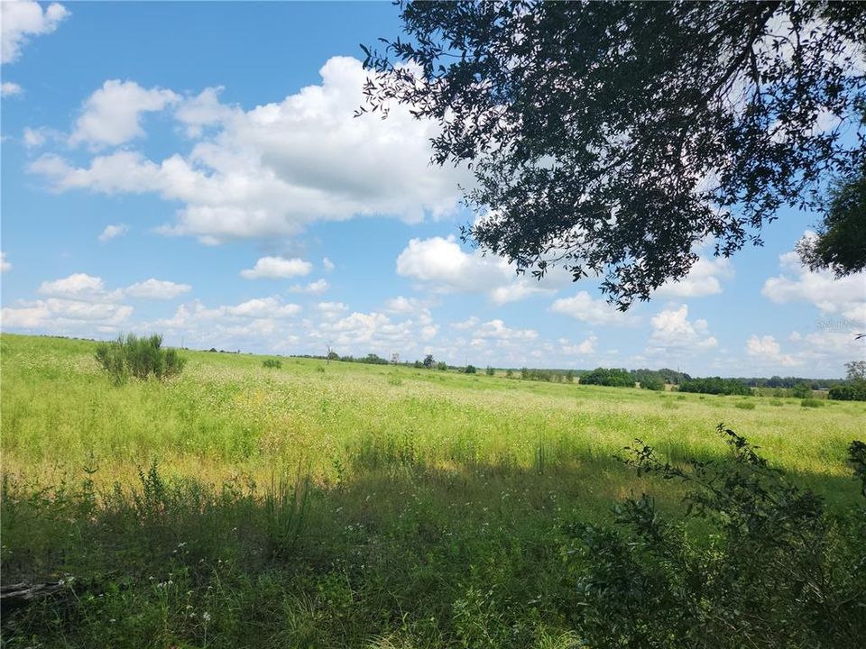 For Sale: $37,900 (1.05 acres)