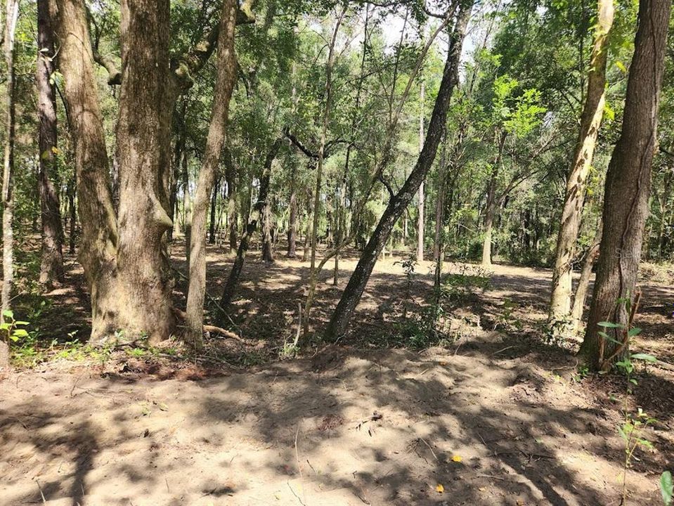 En Venta: $37,900 (1.05 acres)