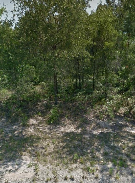 For Sale: $24,500 (0.34 acres)