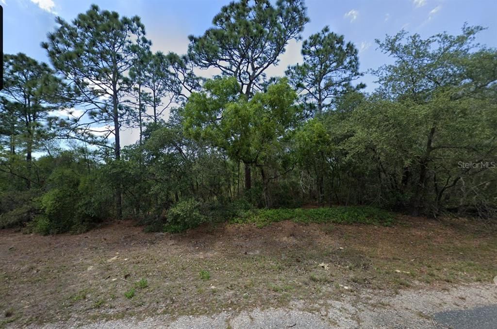 For Sale: $26,000 (0.23 acres)