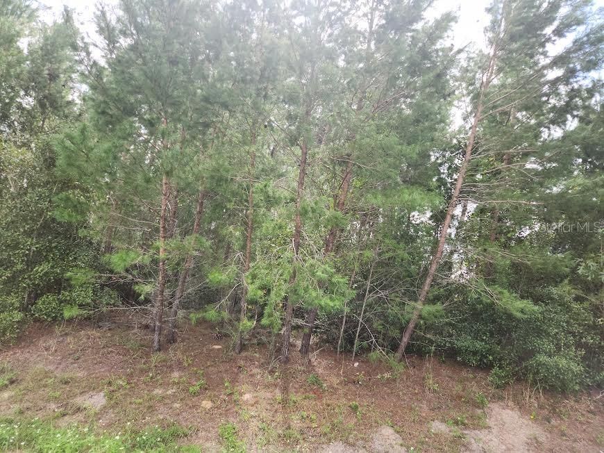 На продажу: $129,000 (1.14 acres)