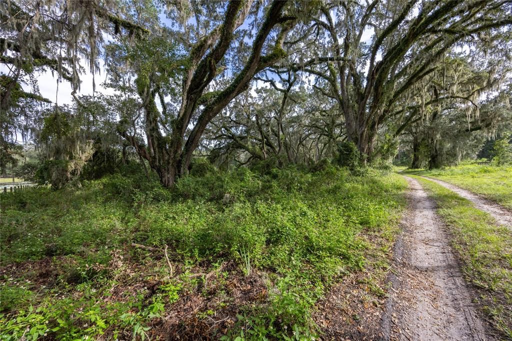 For Sale: $399,000 (23.76 acres)