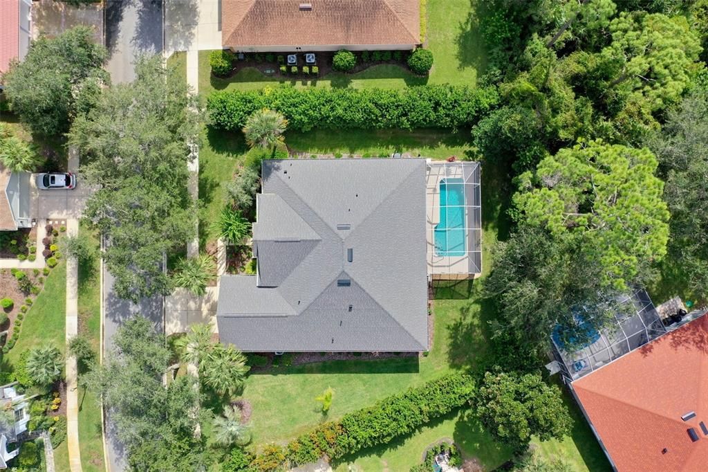 Amazing Privacy & Tree View