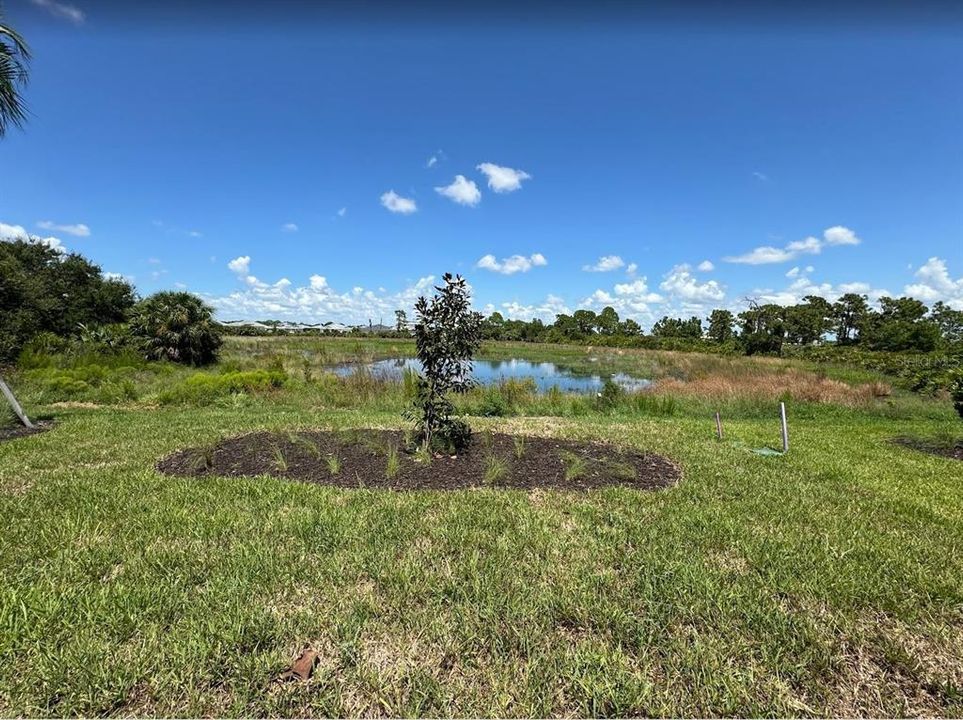 Peaceful preserve view