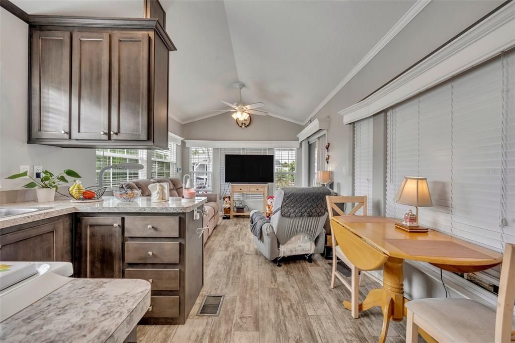 Kitchen and Living Area