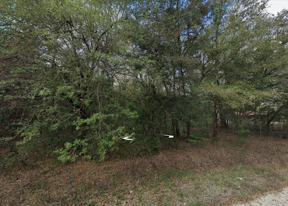 En Venta: $45,900 (1.10 acres)