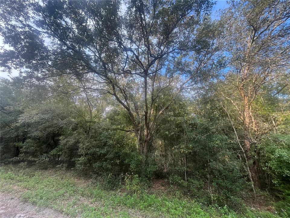 En Venta: $45,900 (1.10 acres)