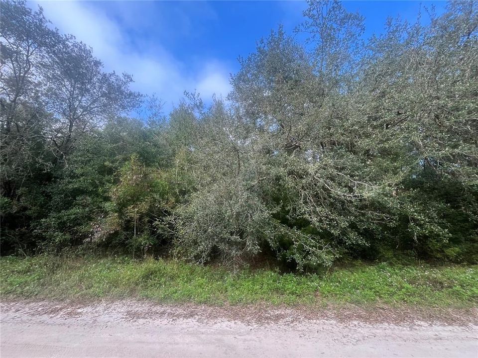 For Sale: $45,900 (1.10 acres)