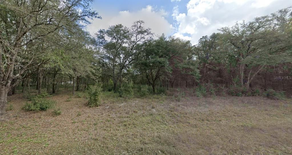 For Sale: $45,900 (1.10 acres)