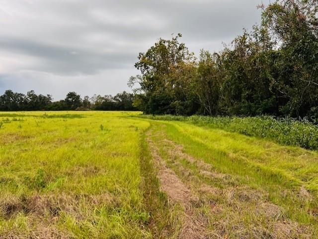 For Sale: $106,900 (5.00 acres)