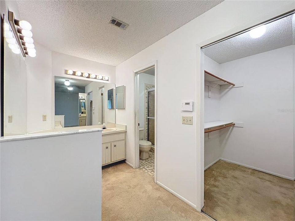 Primary dressing area and Walk in closet