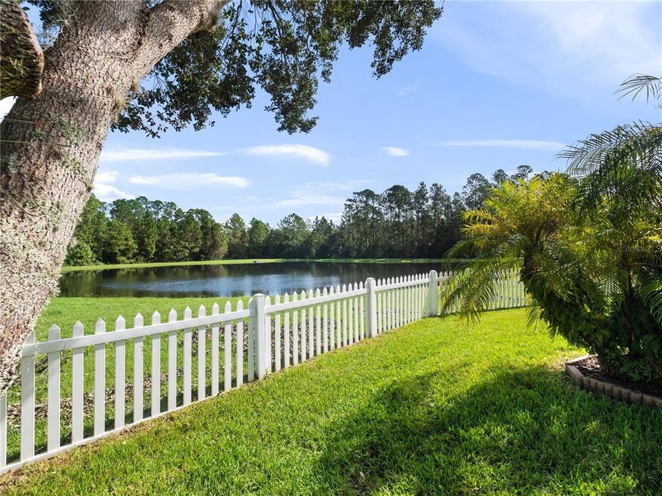 View to Pond