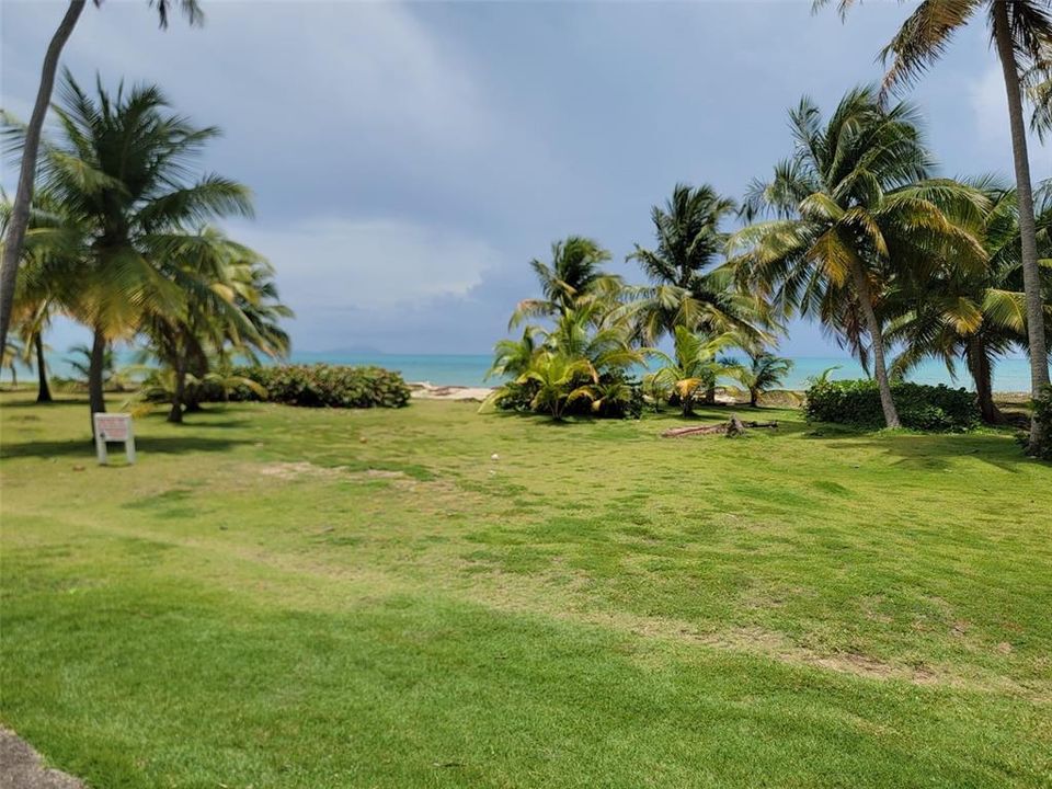 Communal green areas next to the beach