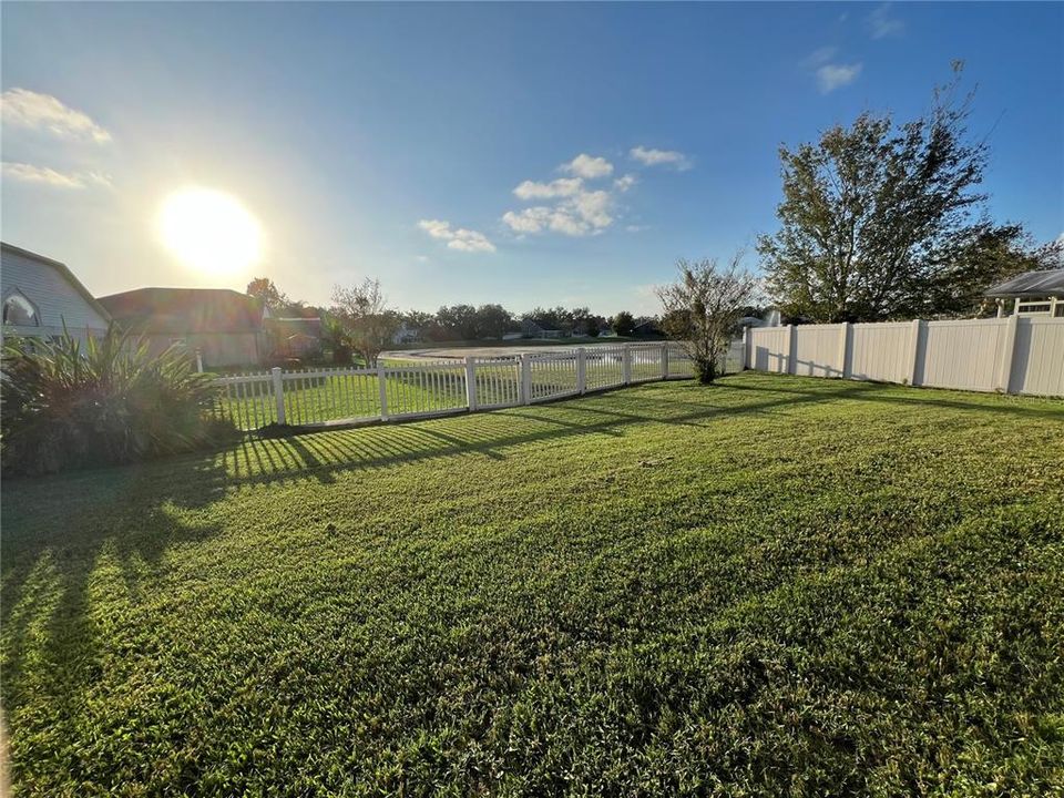 Backyard & Pond View